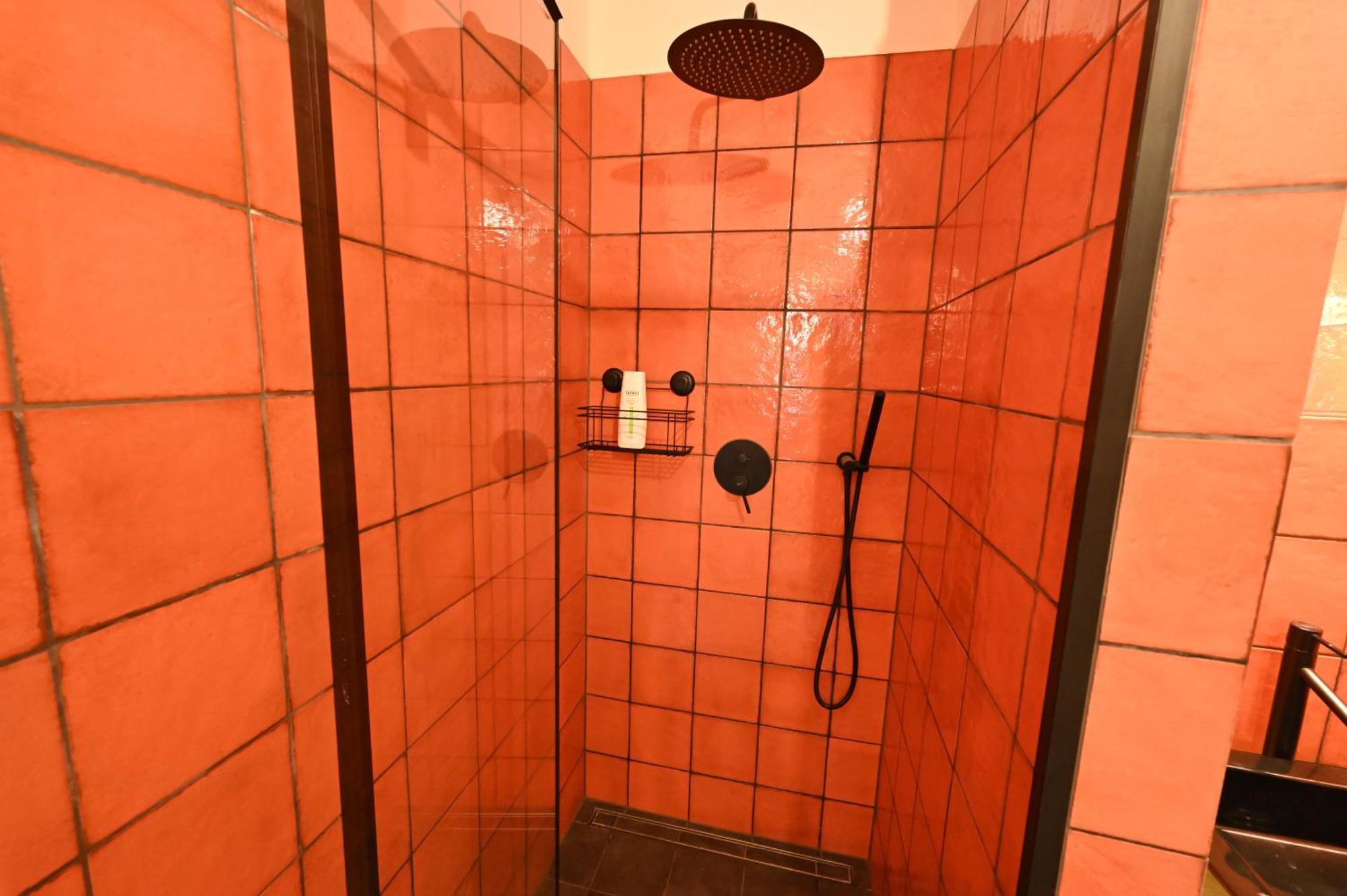 Valecska Palenice Room photo